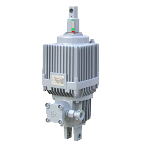 制作精巧、危險系數低